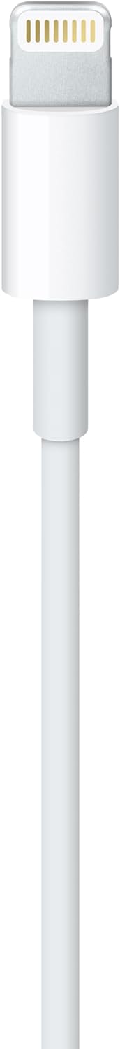 USB-A to Lightning cable (1m)