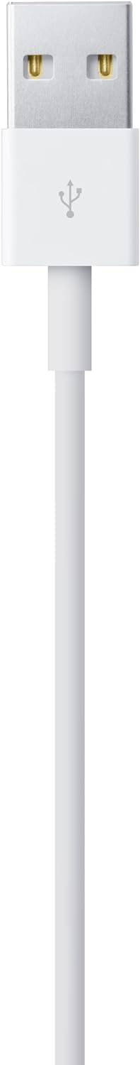 USB-A to Lightning cable (1m)