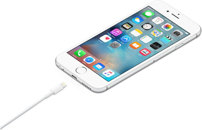 USB-A to Lightning cable (1m)